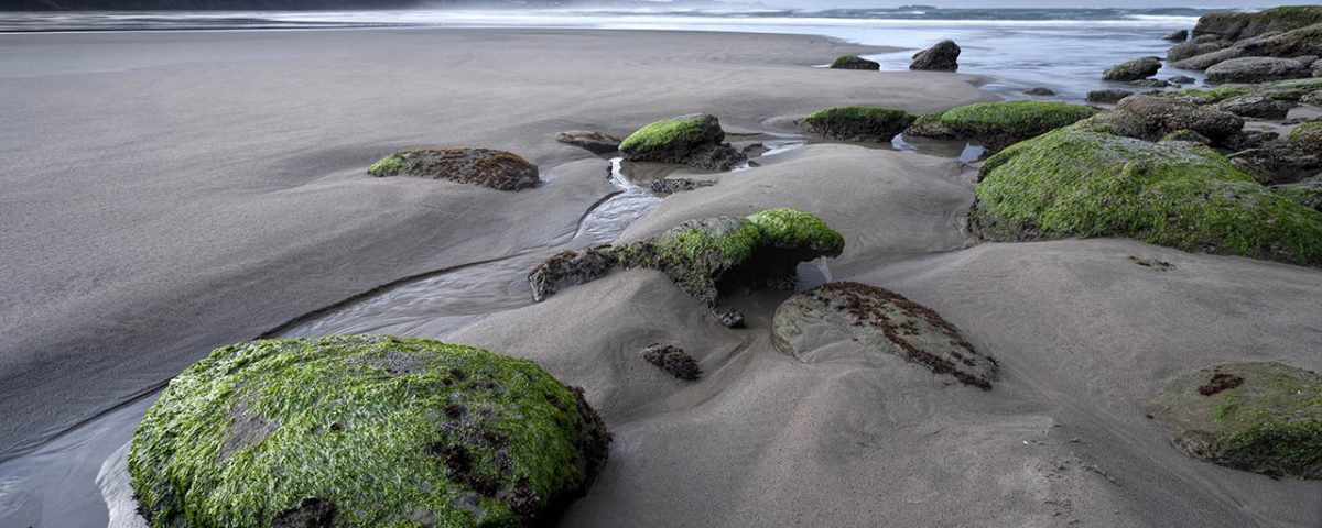 Beautiful beaches in Newport Oregon - a great day trip for guests at Sea and Sand RV Park in Depoe Bay OR